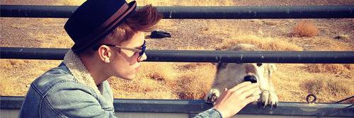 jbsdipty's profile banner image