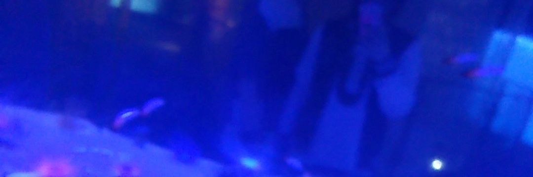 vividcham's profile banner image