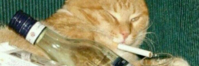 MariaTana8's profile banner image
