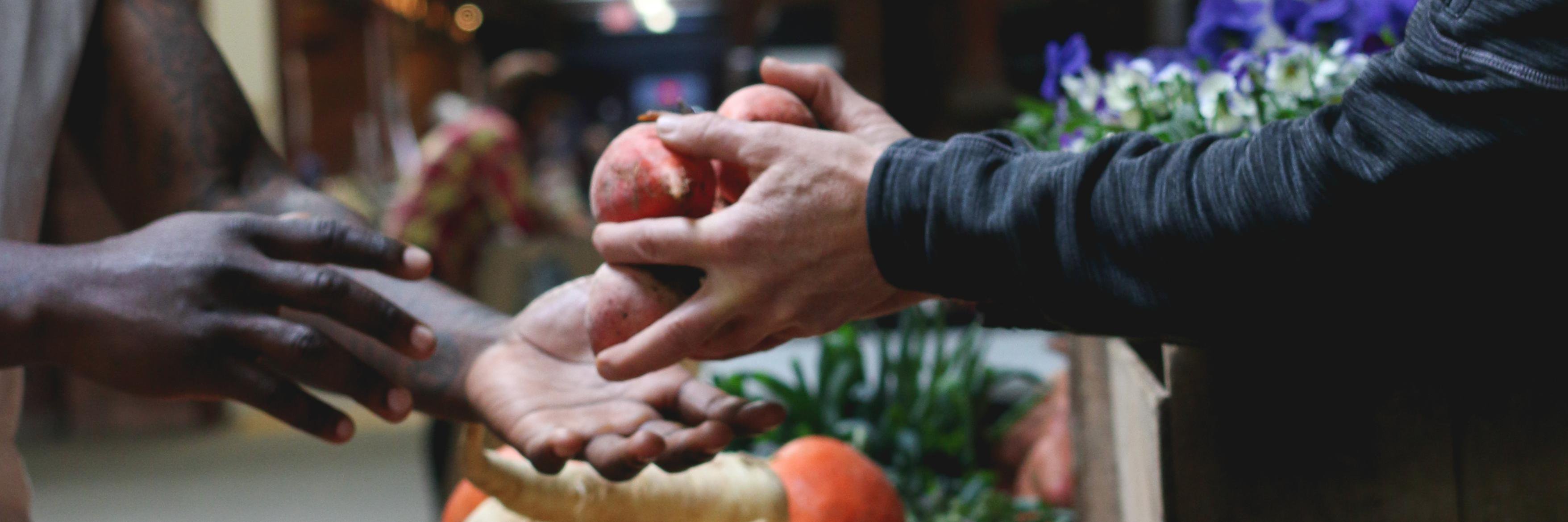 Farm Fresh RI banner