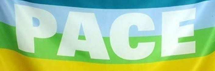 PEACE LOVE MUSIC & FLOWER POWER ☮️ banner