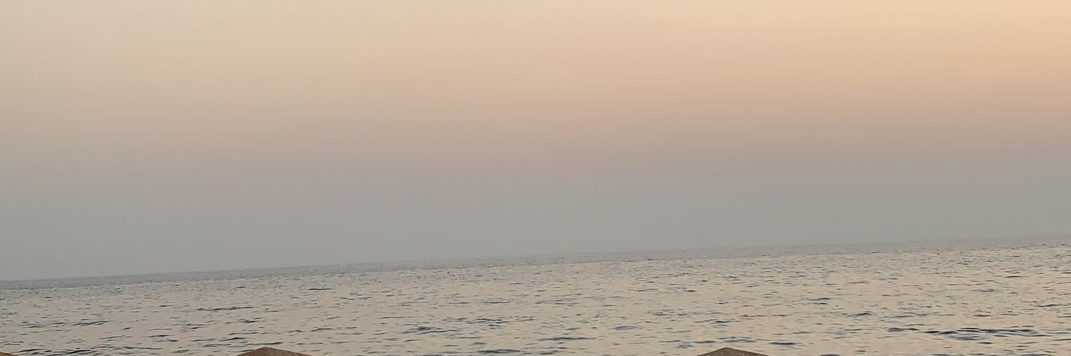 esraa_abid's profile banner image