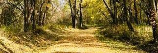 RCB_78's profile banner image