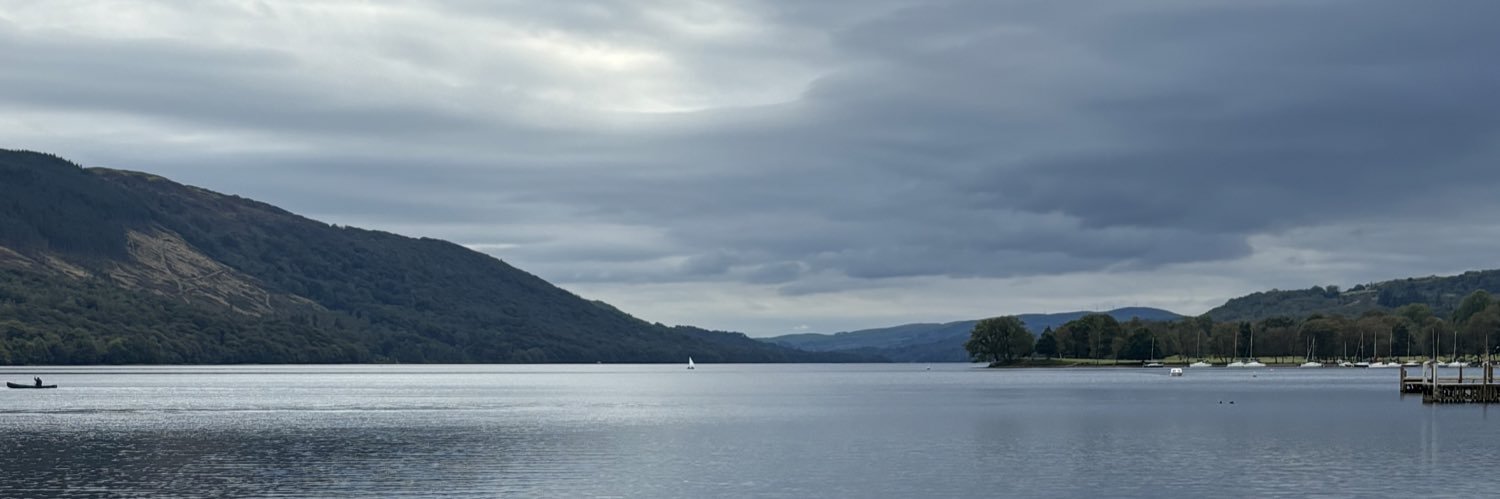 Allison Frend banner