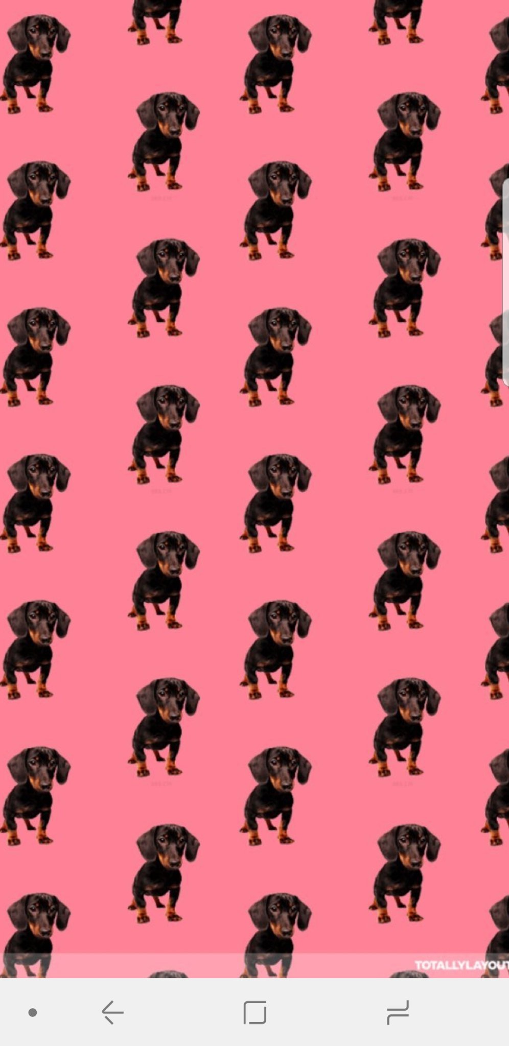 aidamanrique's profile banner image