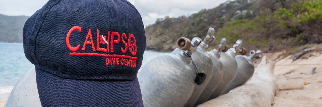 CalipsoDive's profile banner image
