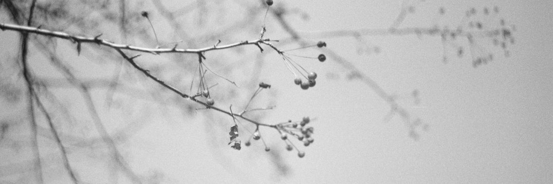 nata___a's profile banner image