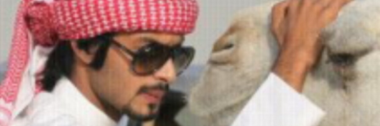 almnsooory's profile banner image