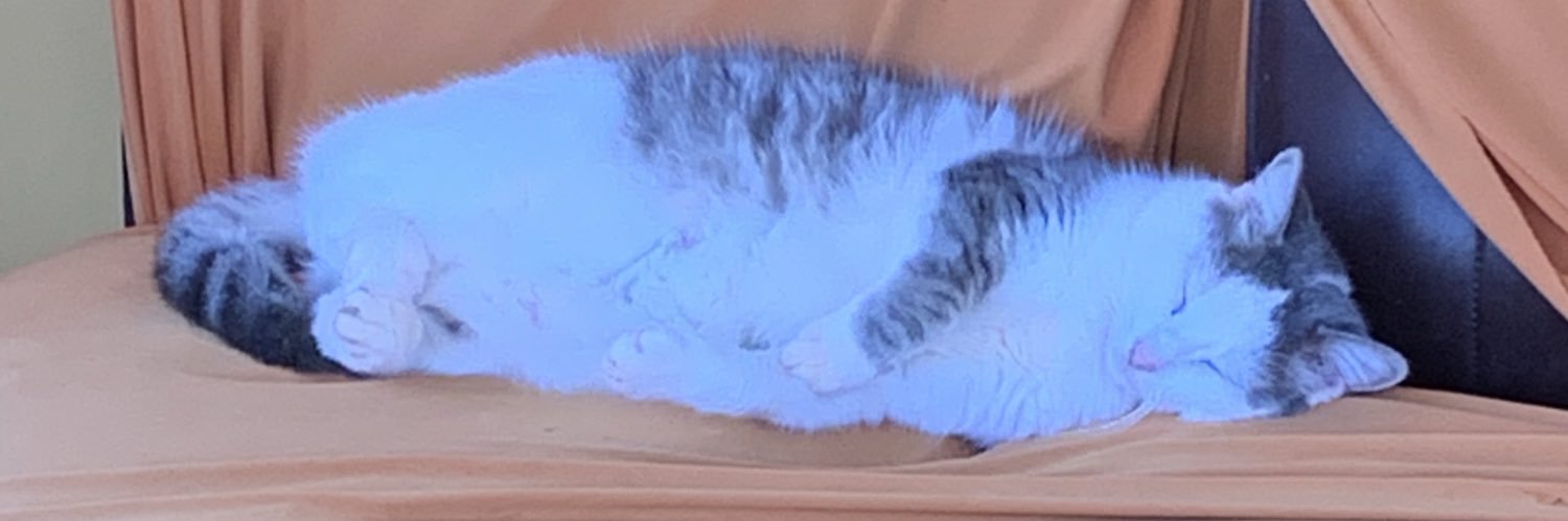 ChupsLofters's profile banner image