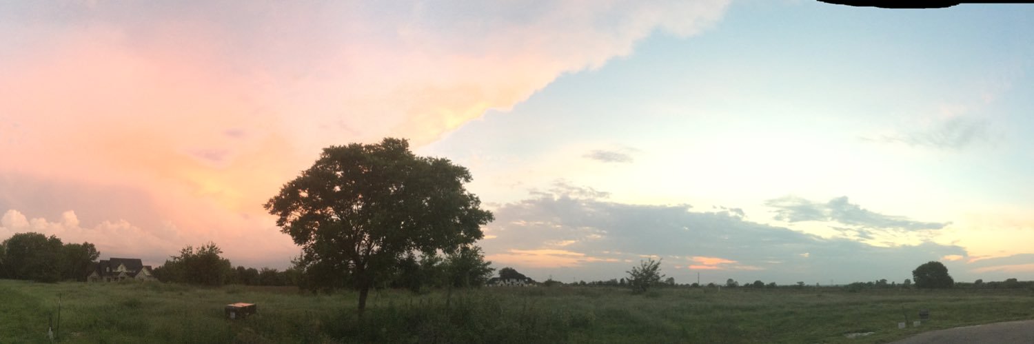 Rural_Pigeon's profile banner image