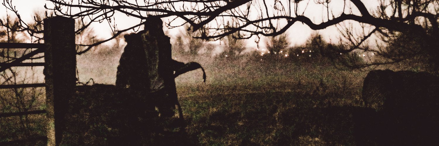 AltSeasonn's profile banner image