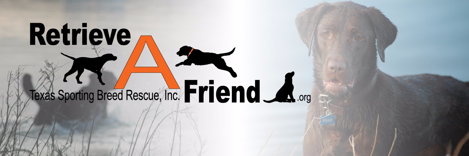 Texas Sporting Breed banner