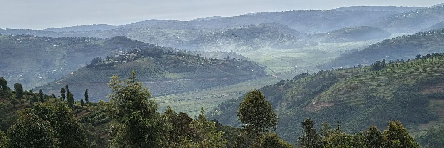 Butare R. Bonaventure banner