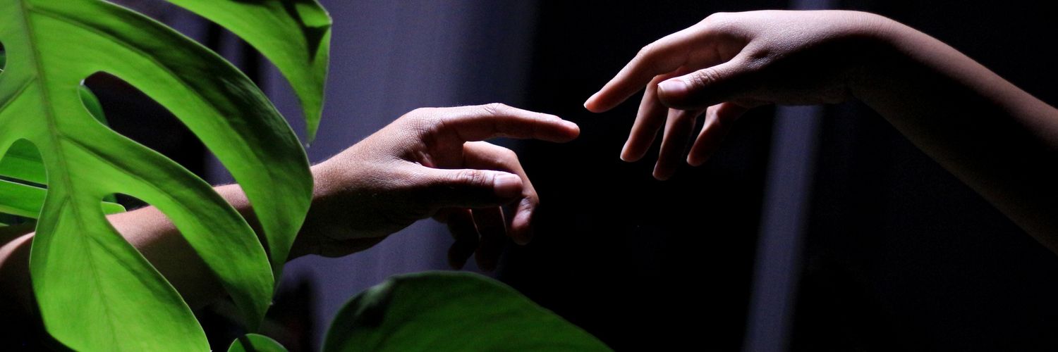 luisivansanchez's profile banner image