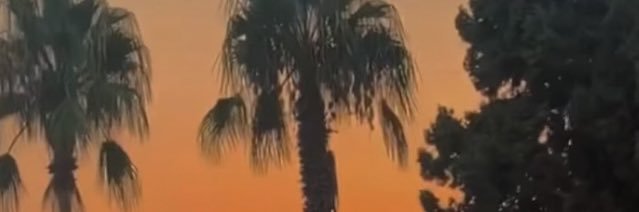Carlotartero's profile banner image