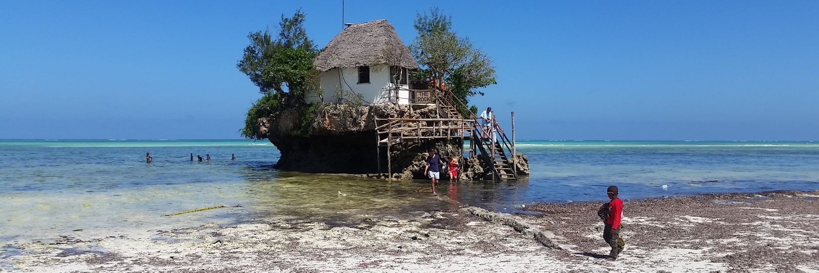 Di Helander 🇺🇦 banner