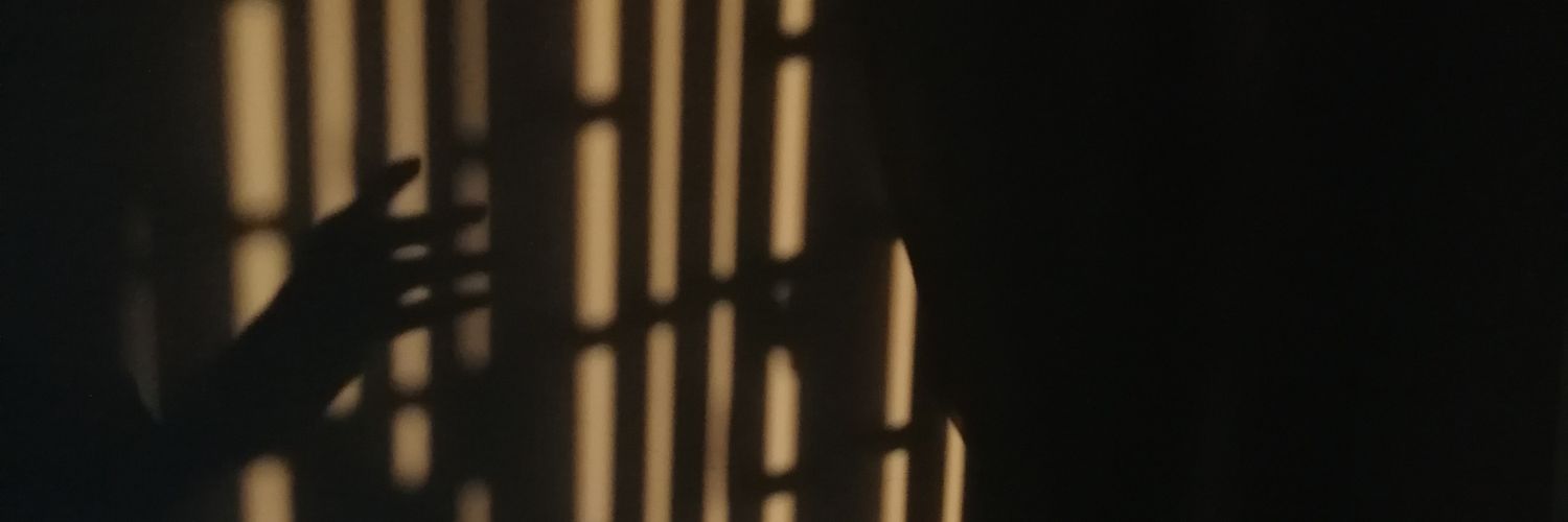 dlludy's profile banner image
