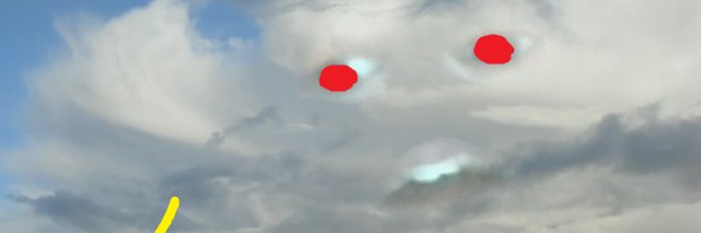 dook247 🦂 banner