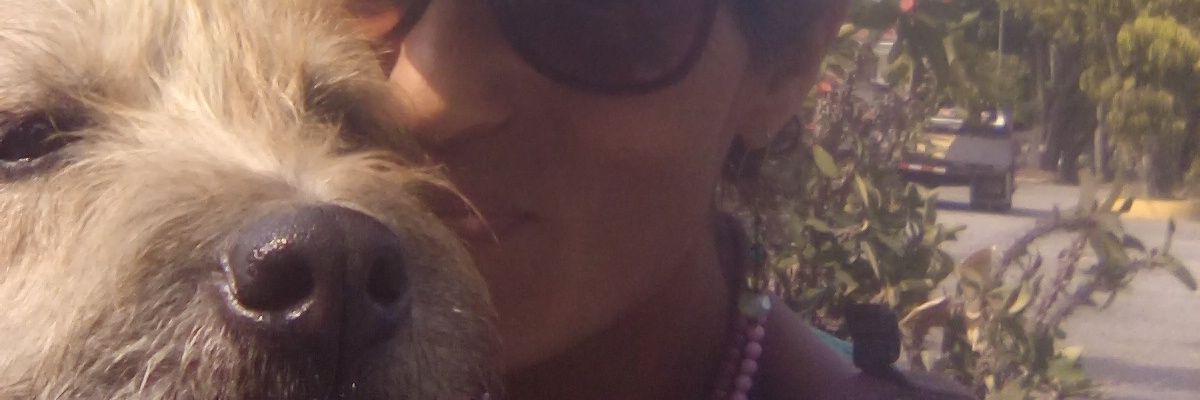 ParvatiVzla's profile banner image