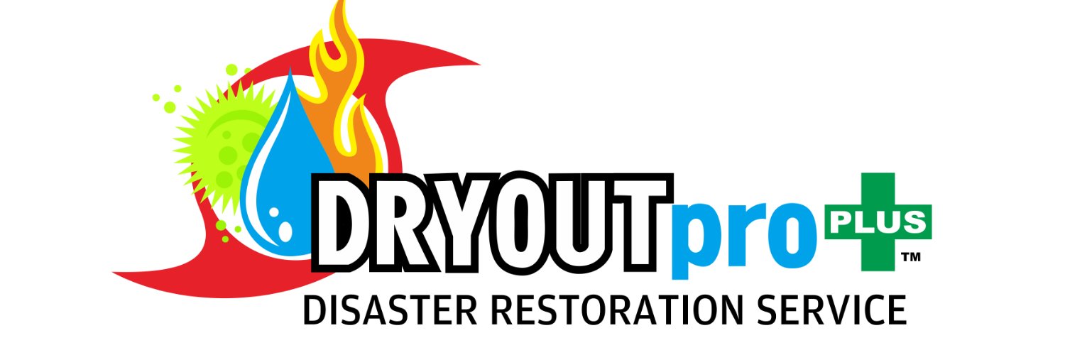 DRYOUTPRO's profile banner image