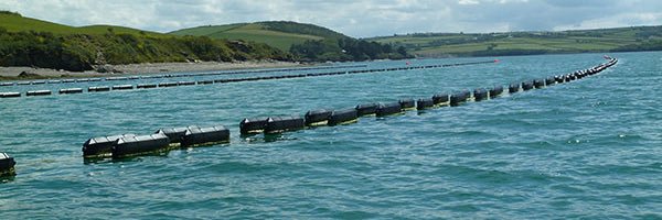 Porthilly Shellfish banner