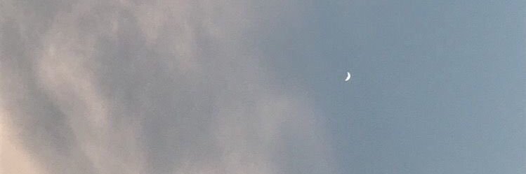 domisots's profile banner image