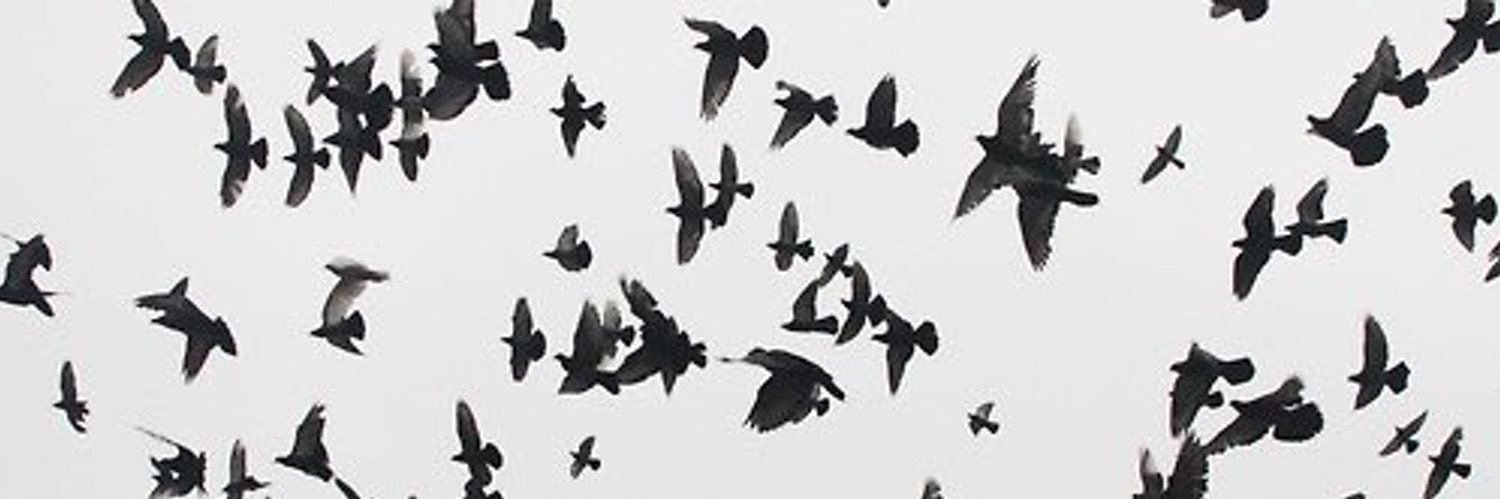 trustafad's profile banner image