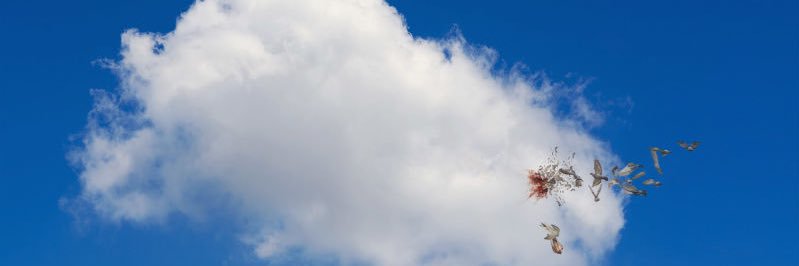 MMBINRASHID5's profile banner image