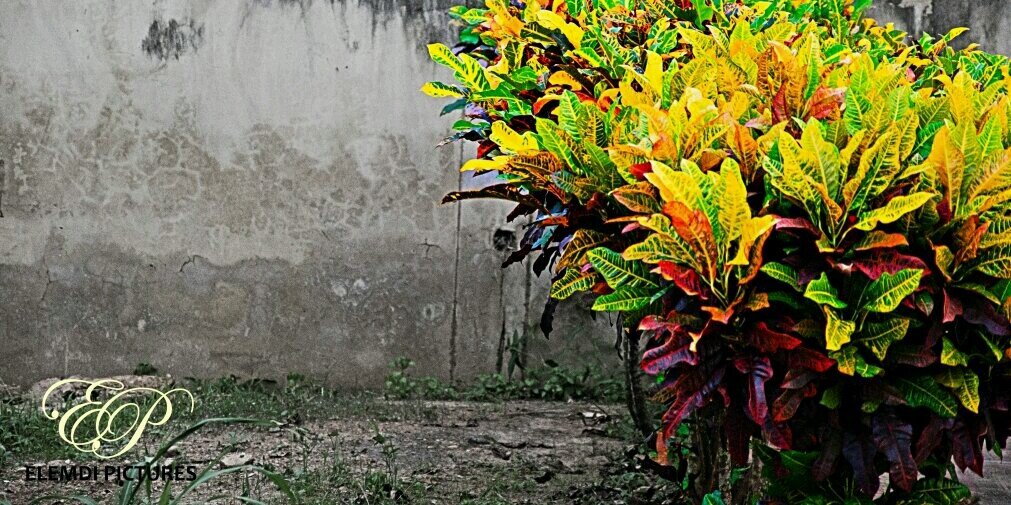 lamideadeyemi's profile banner image