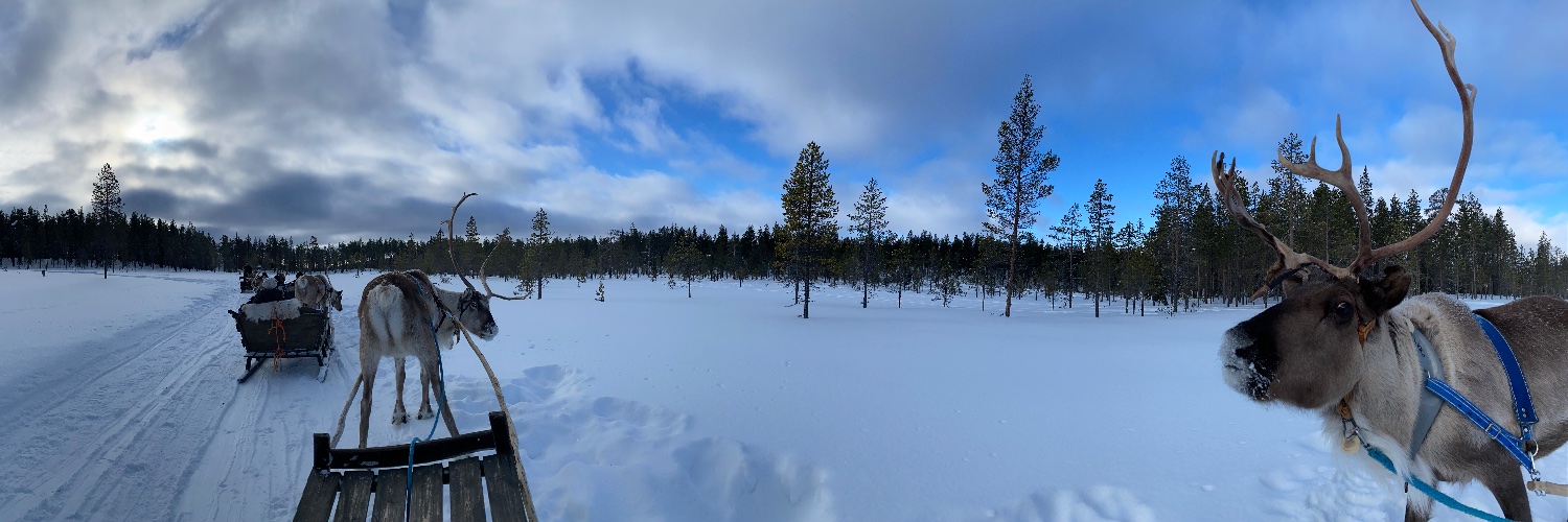 Sander van Luyn banner