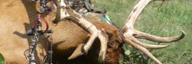 HuntingTopTen's profile banner image