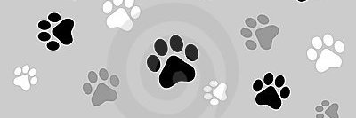 HeathlandsAS's profile banner image