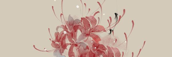 MathildeHoang's profile banner image