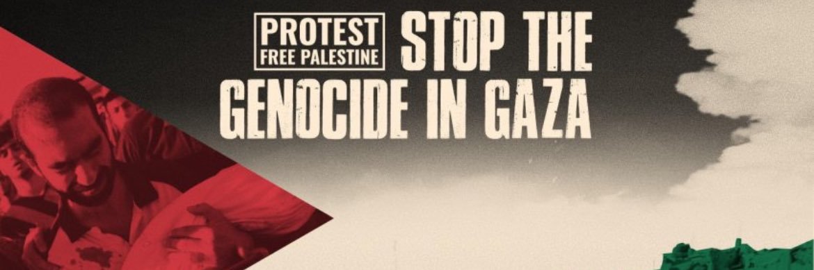 Luciana Morello 🍉 banner