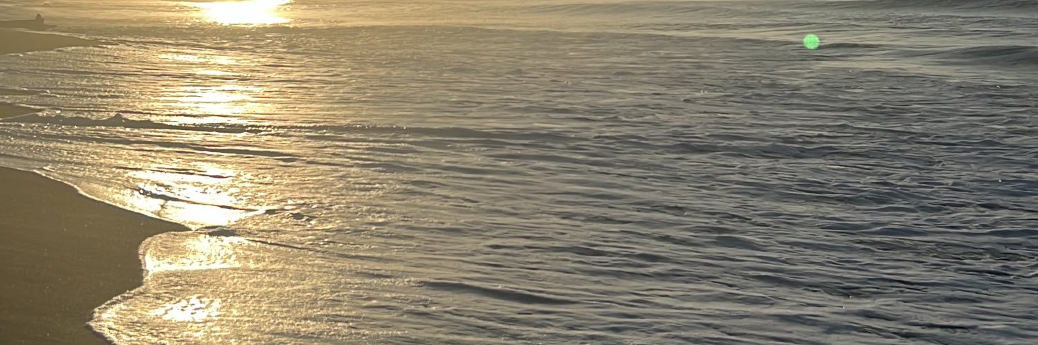 fernandamachara's profile banner image