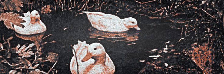 𓏲 ๋࣭ ࣪ ˖ ⸻ 𝕭𝐀𝐃 𝓓𝐎𝐄 .ᐟ ♔ banner