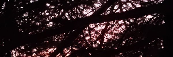 CaseyLytle Profile Banner