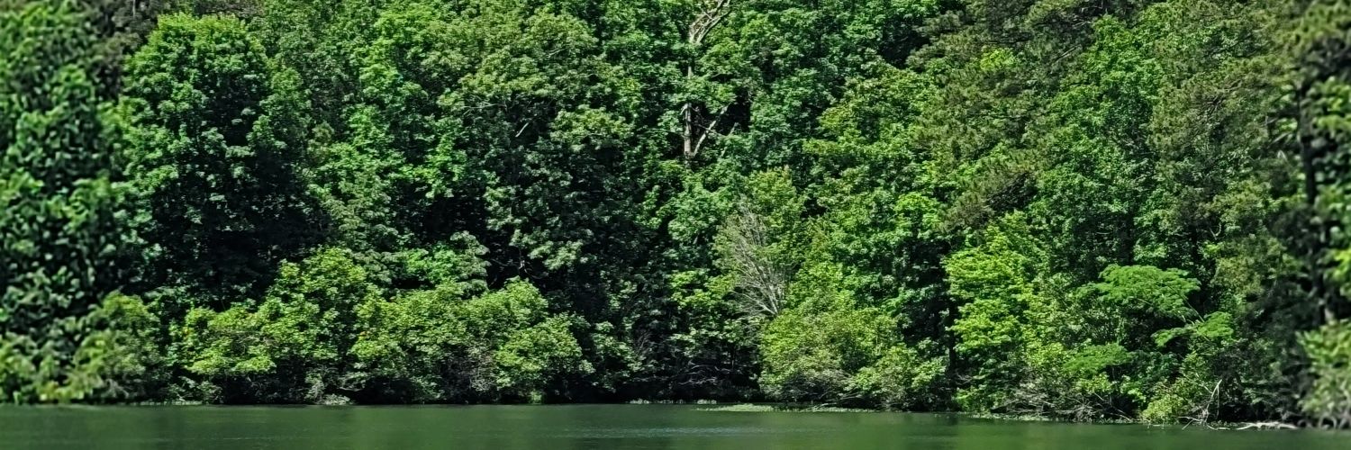 WalterC1112's profile banner image