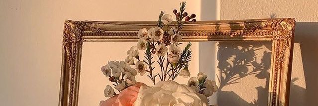 wessybear's profile banner image