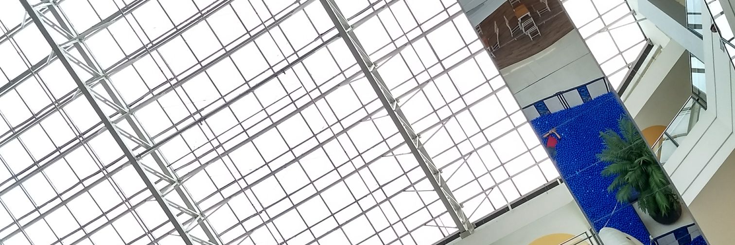 renatoabec's profile banner image