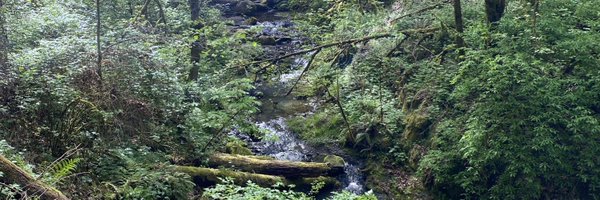 amock11 Profile Banner