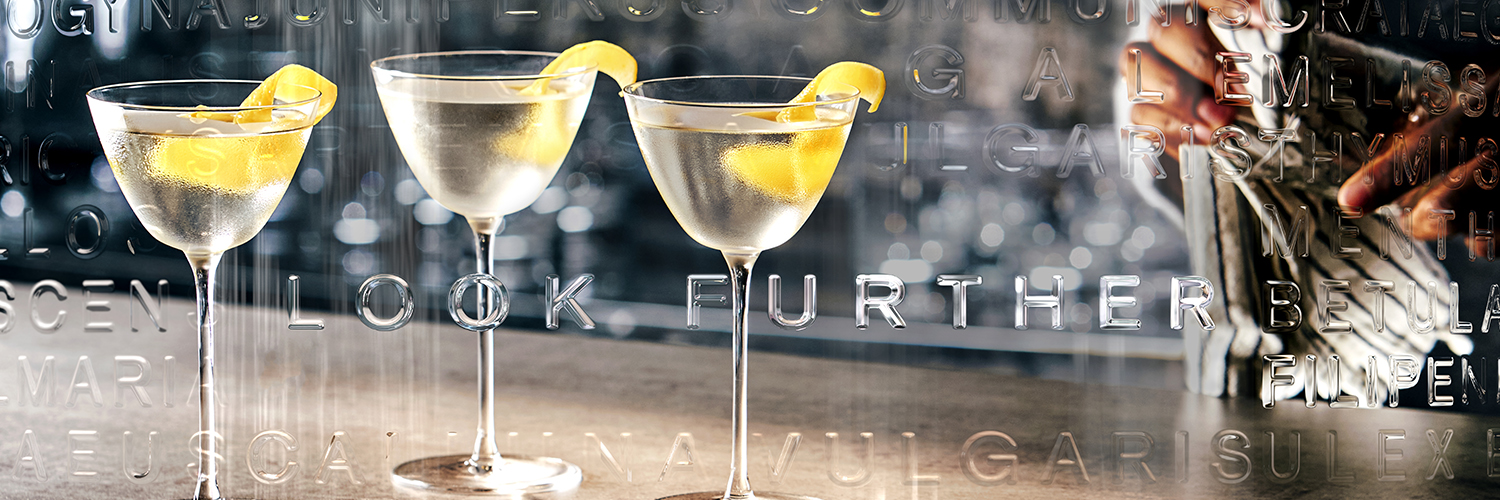 thebotanistgin's profile banner image