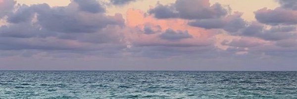 Ciri_Fionna Profile Banner