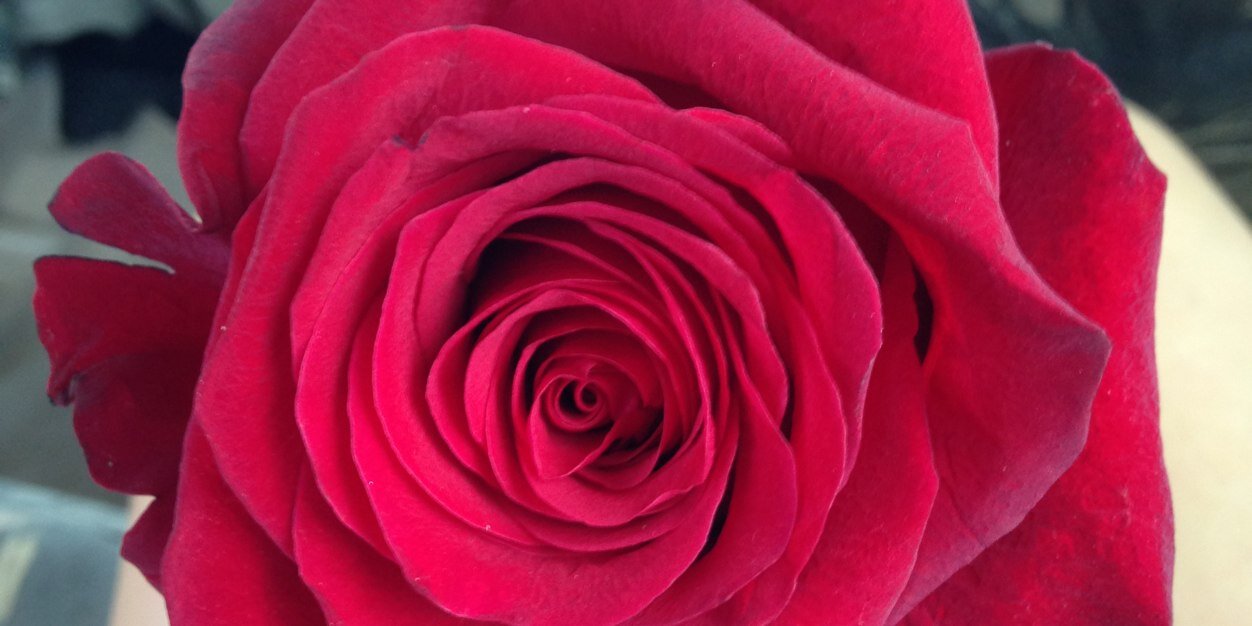 MorganVizi's profile banner image