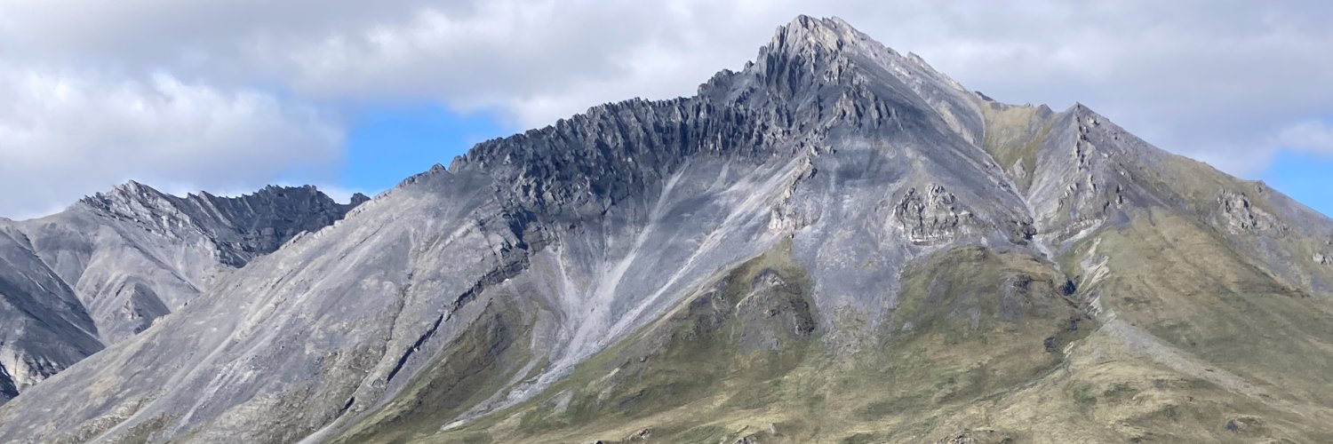 Alicia Robinson banner