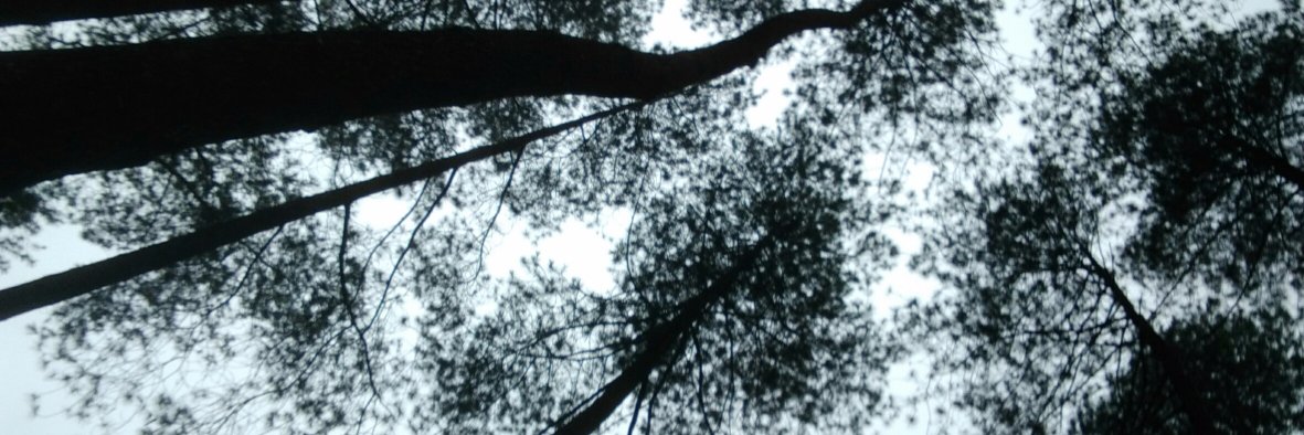 ecost_nine's profile banner image