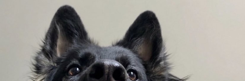 danielleeee00's profile banner image