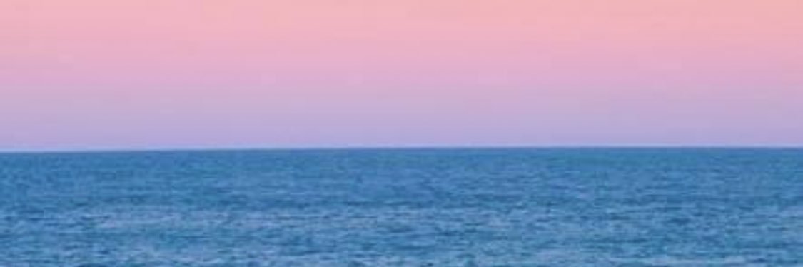 donnamcd42's profile banner image