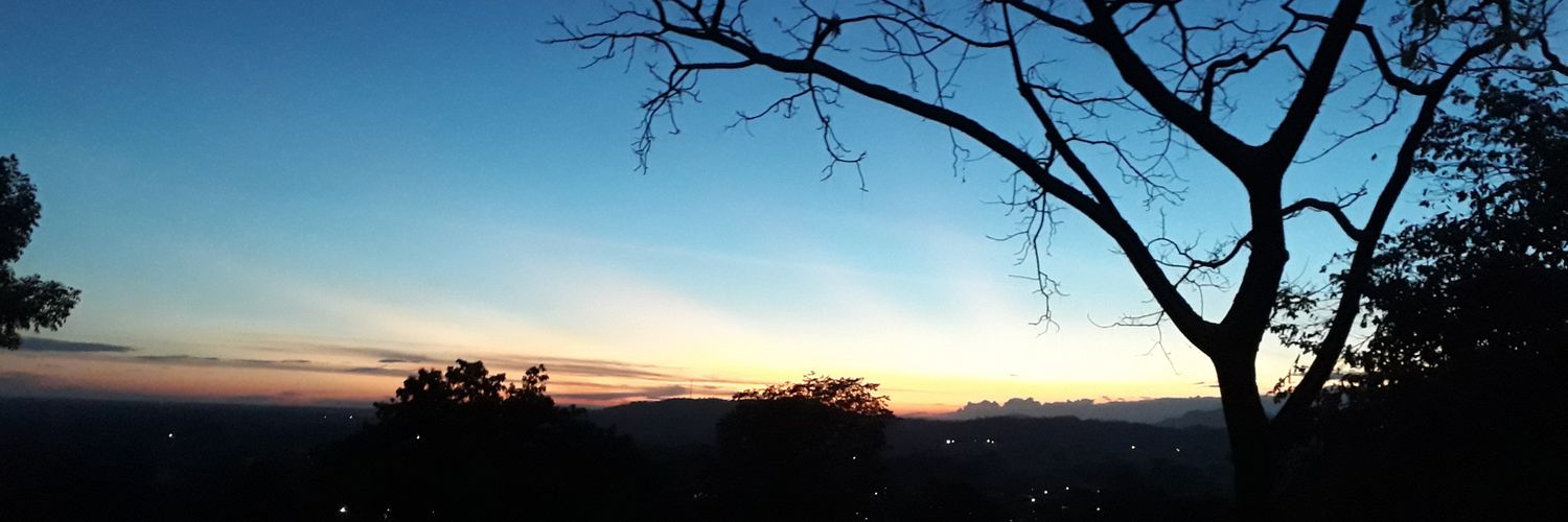 Cecilia Gómez M. banner