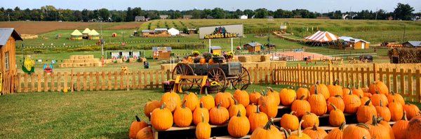 SummersFarm Profile Banner